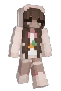 Tacohoe Minecraft avatar full body