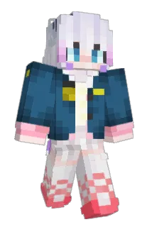 Tacos16x20 Minecraft avatar full body