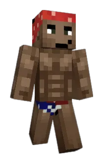 TacticalRice Minecraft avatar full body