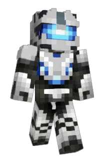 Tadn Minecraft avatar full body