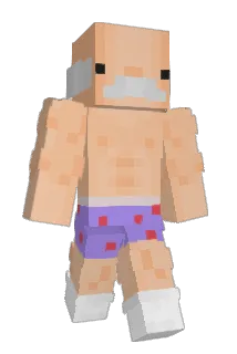 Tadpoley Minecraft avatar full body