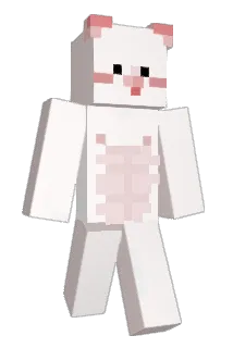 Taewon_0 Minecraft avatar full body