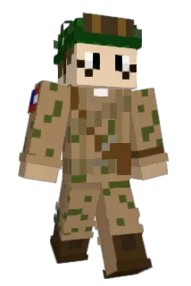 Tailspin_13 Minecraft avatar full body