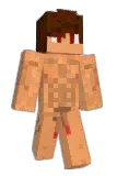 Tainnn Minecraft avatar full body