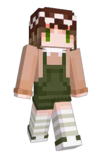 Takowacki Minecraft avatar full body