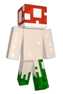 Talking_Heads Minecraft avatar full body
