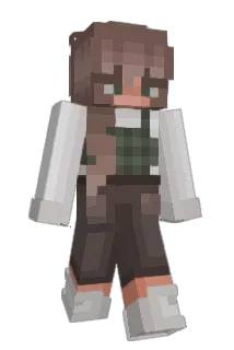 Tally2404 Minecraft avatar full body