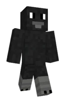 Tamaraster Minecraft avatar full body