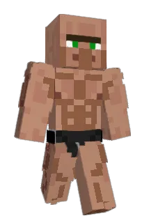 Tamil582 Minecraft avatar full body