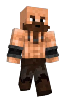 Tamponino Minecraft avatar full body