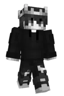 TanerErdem Minecraft avatar full body