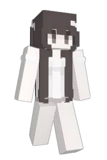Tank8we Minecraft avatar full body