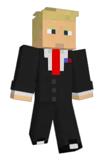 Tankslayer134 Minecraft avatar full body