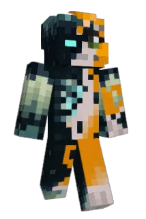 Tankyboy998 Minecraft avatar full body
