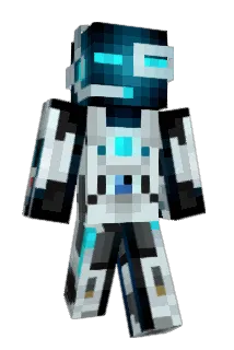 Tann66 Minecraft avatar full body