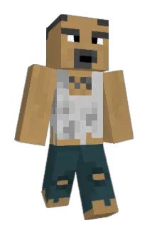 Tannercooks Minecraft avatar full body