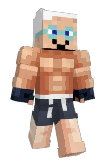 Tantnyman Minecraft avatar full body
