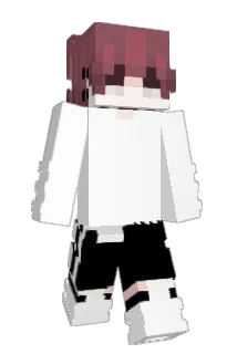 Tanuki4007 Minecraft avatar full body