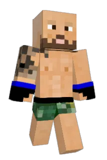 TaoSen Minecraft avatar full body