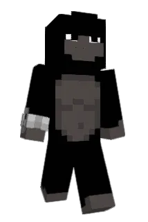 Tap_Works Minecraft avatar full body