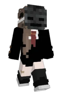 Tapada Minecraft avatar full body