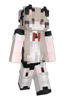 Tappns Minecraft avatar full body