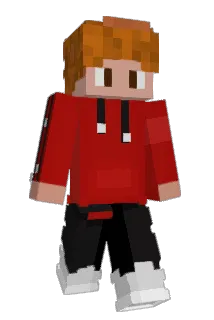 Tarinho Minecraft avatar full body