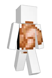 Tarlax Minecraft avatar full body