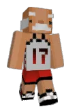 TaschenNuss Minecraft avatar full body