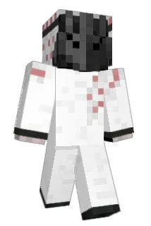 Tawook12 Minecraft avatar full body