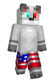 TaxEvader74 Minecraft avatar full body