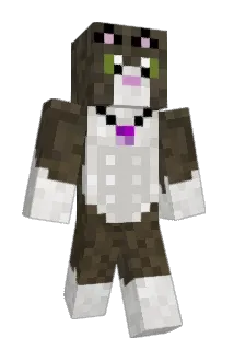 TaylorRaiyne Minecraft avatar full body