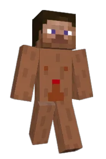TdGamerman Minecraft avatar full body