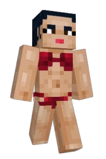 Tdouble Minecraft avatar full body