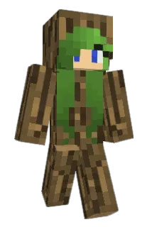 Te3 Minecraft avatar full body