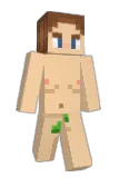 Teakze Minecraft avatar full body