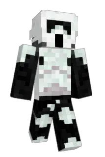 TeamSalway Minecraft avatar full body