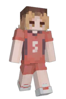 TeapotVibes Minecraft avatar full body