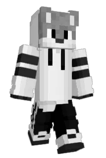 TechFox21 Minecraft avatar full body