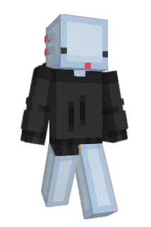 Teco20 Minecraft avatar full body