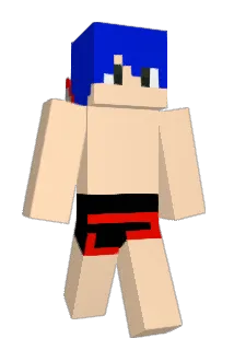 Ted0407 Minecraft avatar full body