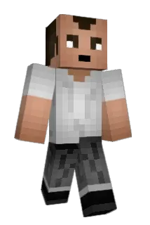 Ted3444 Minecraft avatar full body