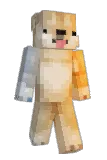 Tedophile Minecraft avatar full body