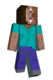 TeeShark Minecraft avatar full body