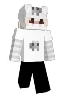Teejay Minecraft avatar full body