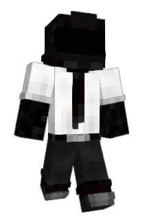 TeenTortoise8 Minecraft avatar full body