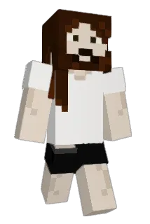 TehMemelord Minecraft avatar full body