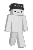 TehWinter Minecraft avatar full body