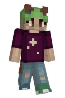 Teisti Minecraft avatar full body