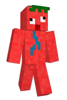 Telepastete Minecraft avatar full body